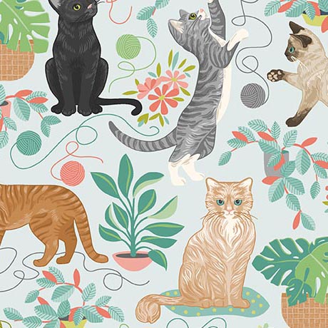 CURIOUS KITTYCATS        